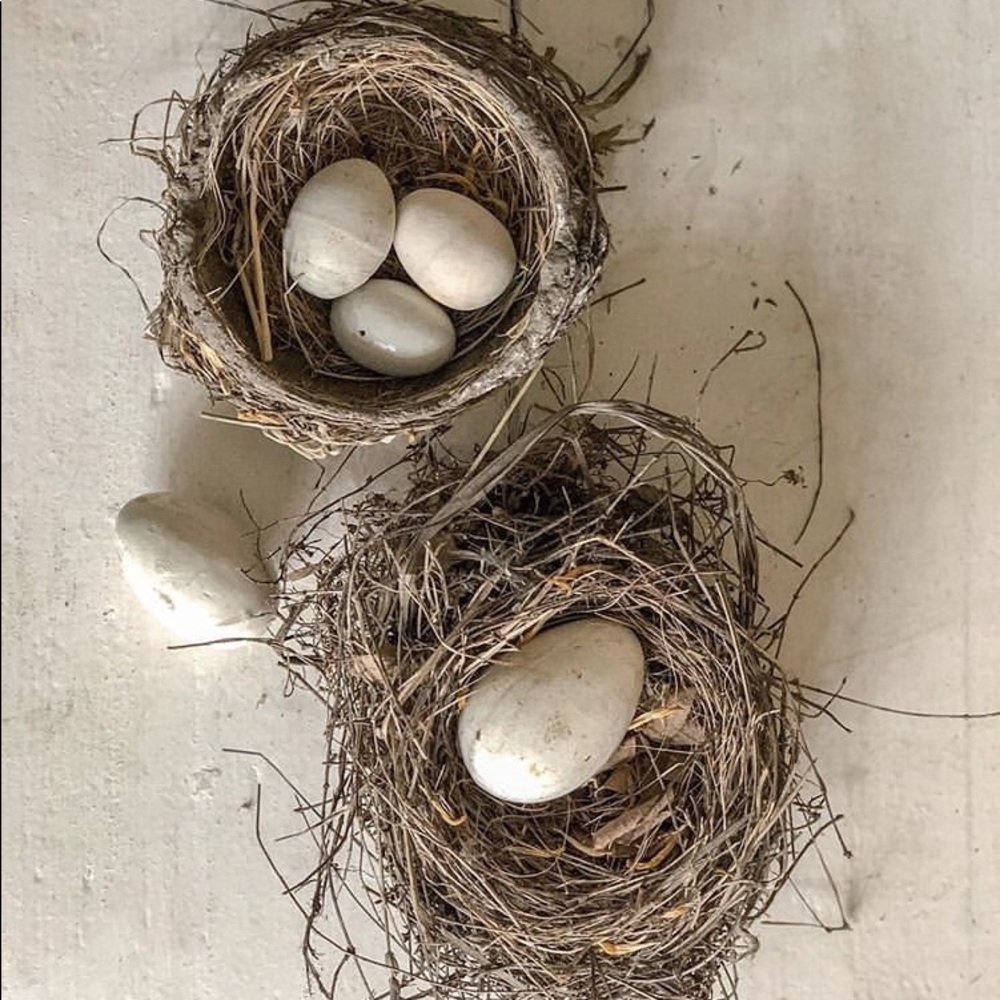 1 Natural Wild Bird Nest Decor